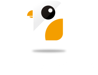 burddy logo